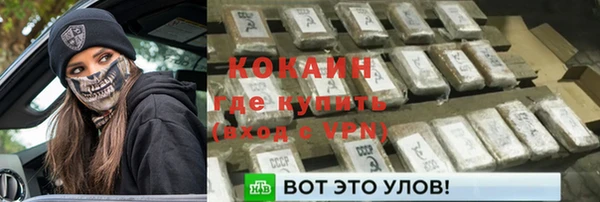 тгк Богородицк