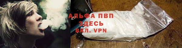 тгк Богородицк