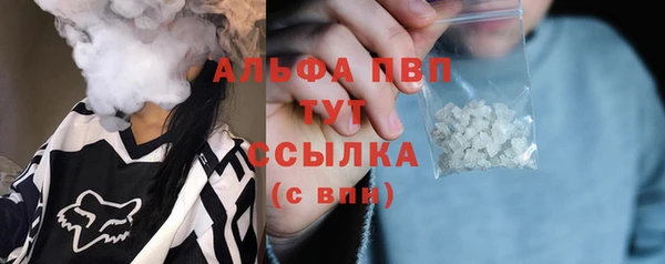 spice Богородск