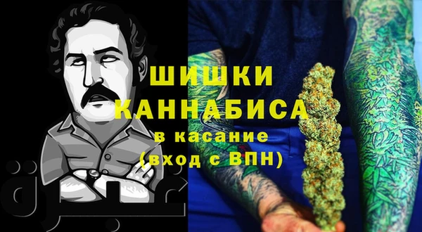 тгк Богородицк