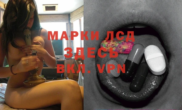 spice Богородск