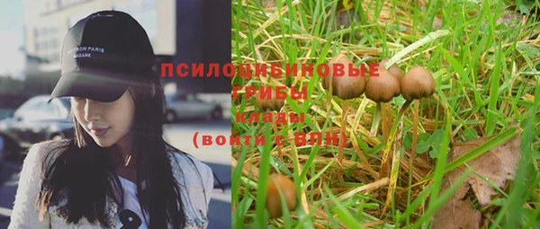 тгк Богородицк