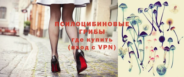 тгк Богородицк