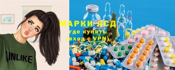 spice Богородск