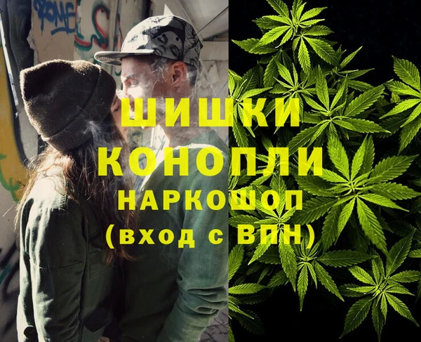 spice Богородск