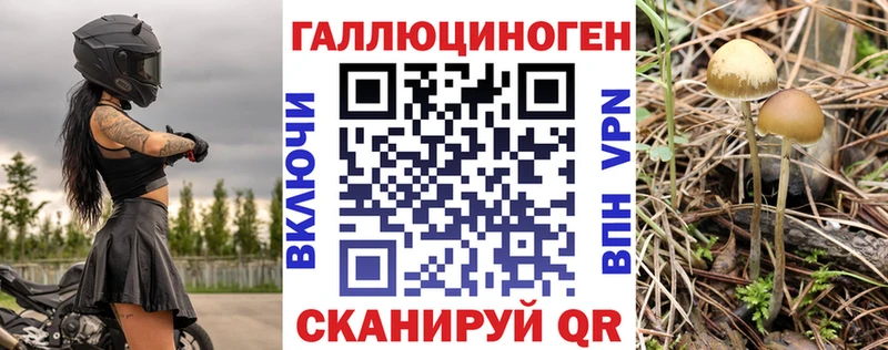 Галлюциногенные грибы прущие грибы  OMG ТОР  Волжск  купить закладку 